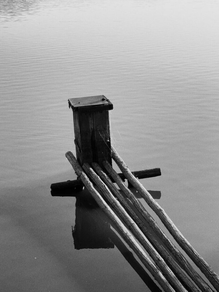 Wooden posts and logs on still water, black and white